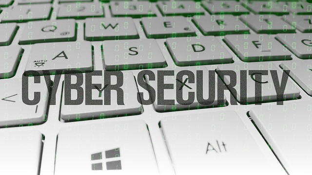 kybernetická bezpečnost